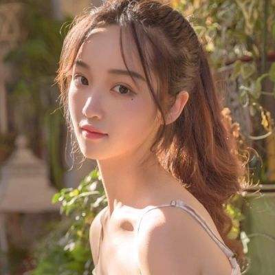 宝可梦大探险测试版下载